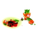 Goma Xantana (Gelespessa) 500 g