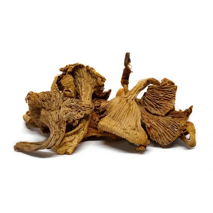 Chanterelles Girolles 30Gr
