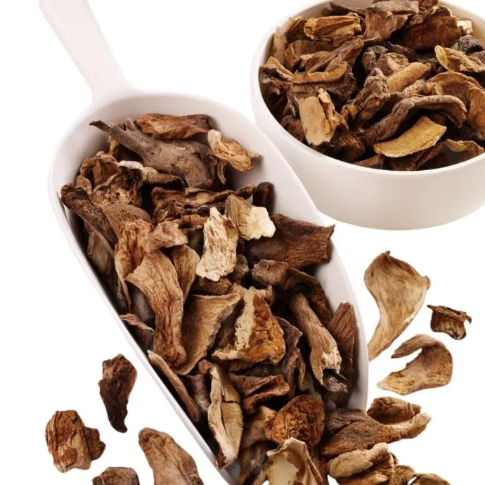 Porcini