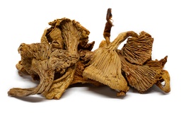 [ChanterellesKg] Chanterelles Girolles Kg