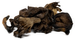 [TrompMuertKg] Trompetas De La Muerte Kg